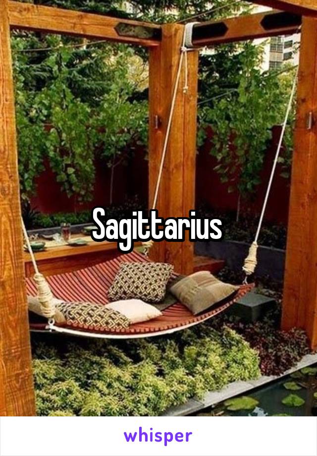 Sagittarius 