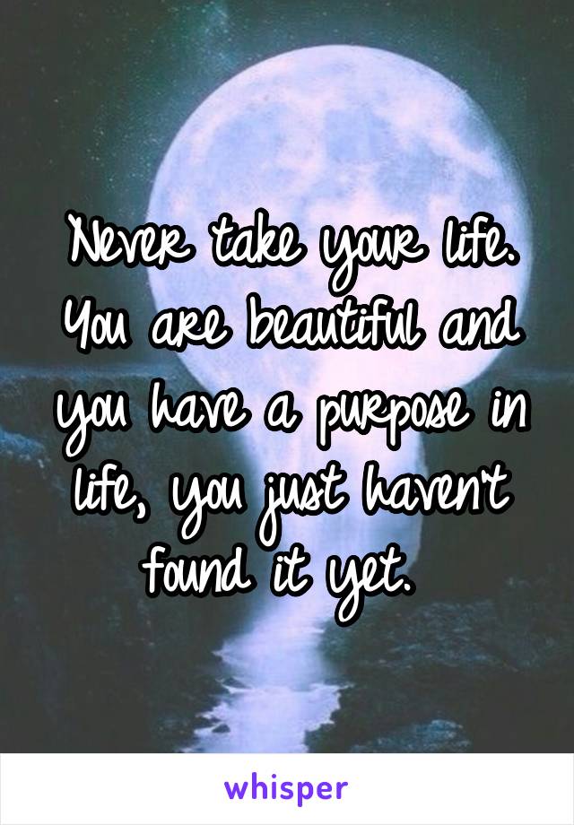 Never take your life. You are beautiful and you have a purpose in life, you just haven't found it yet. 