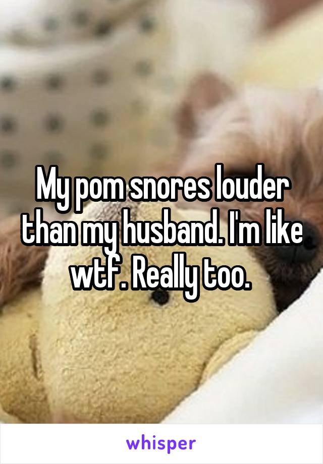 My pom snores louder than my husband. I'm like wtf. Really too. 