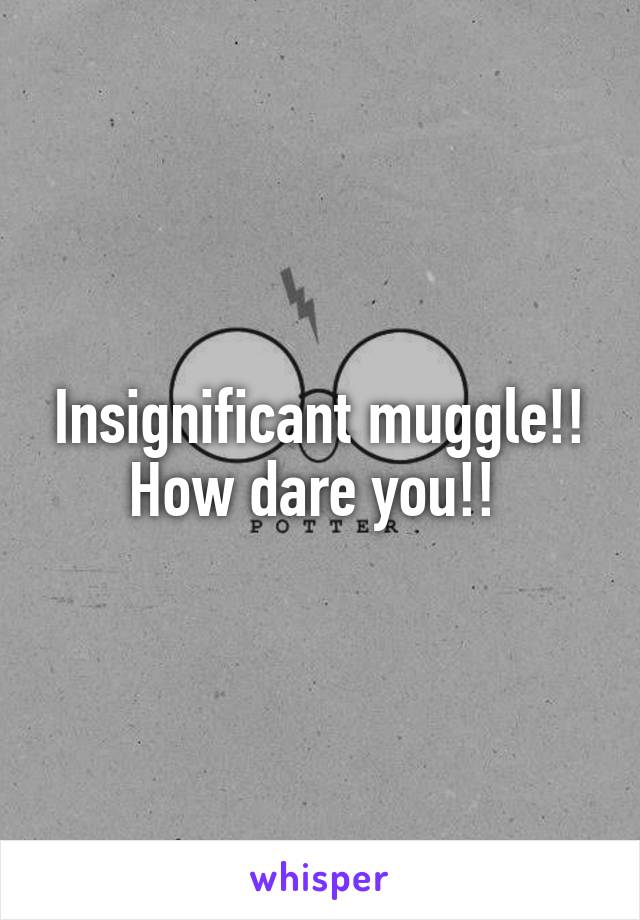 Insignificant muggle!! How dare you!! 