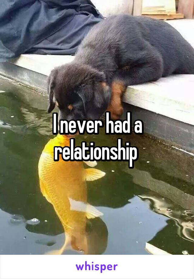 I never had a relationship 