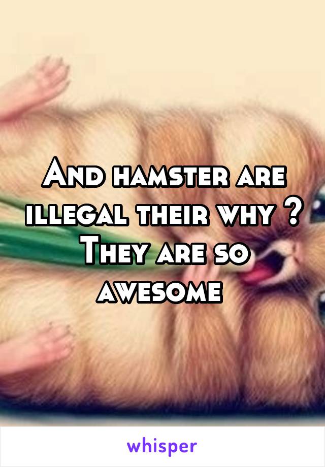 And hamster are illegal their why ? They are so awesome 