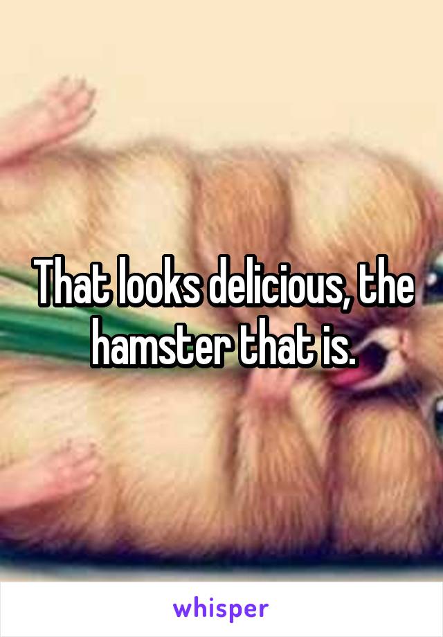 That looks delicious, the hamster that is.