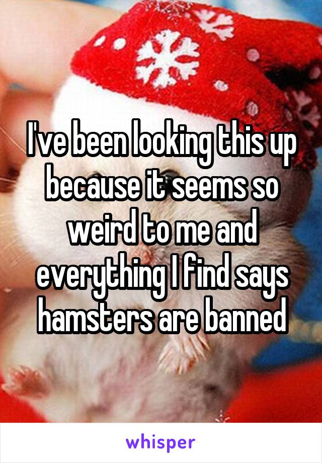 I've been looking this up because it seems so weird to me and everything I find says hamsters are banned