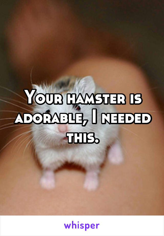 Your hamster is adorable, I needed this.