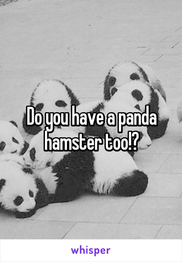 Do you have a panda hamster too!?