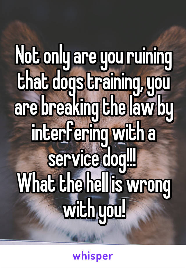 Not only are you ruining that dogs training, you are breaking the law by interfering with a service dog!!! 
What the hell is wrong with you!