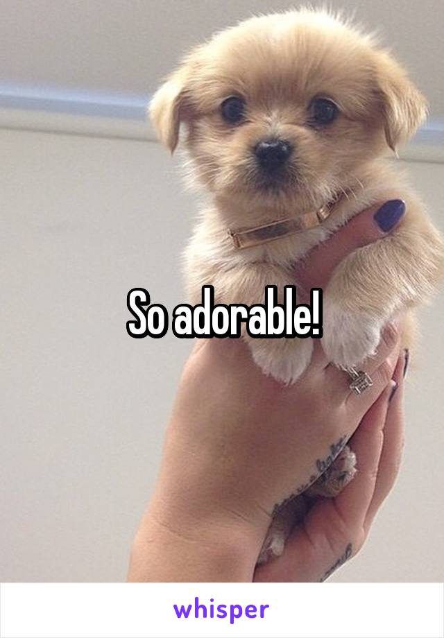 So adorable!