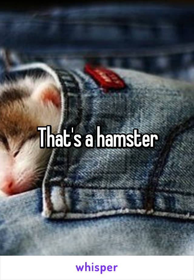 That's a hamster