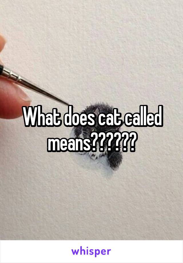 What does cat called means??????