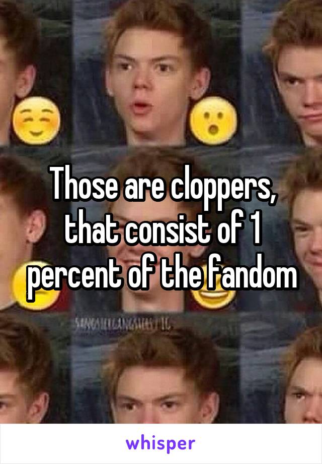 Those are cloppers, that consist of 1 percent of the fandom