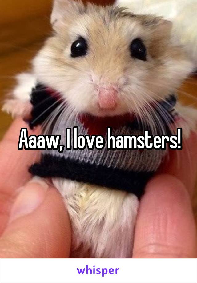 Aaaw, I love hamsters!
