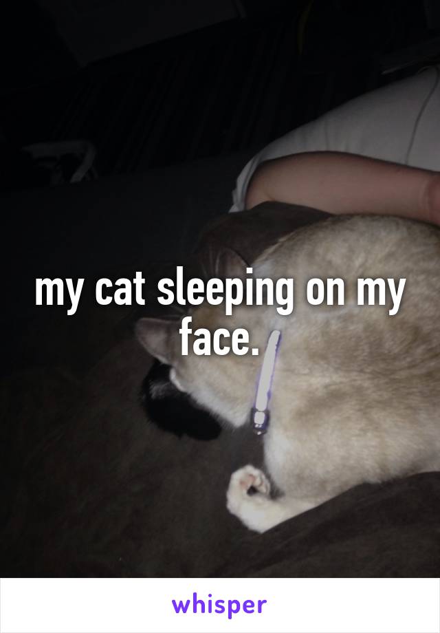 my cat sleeping on my face.