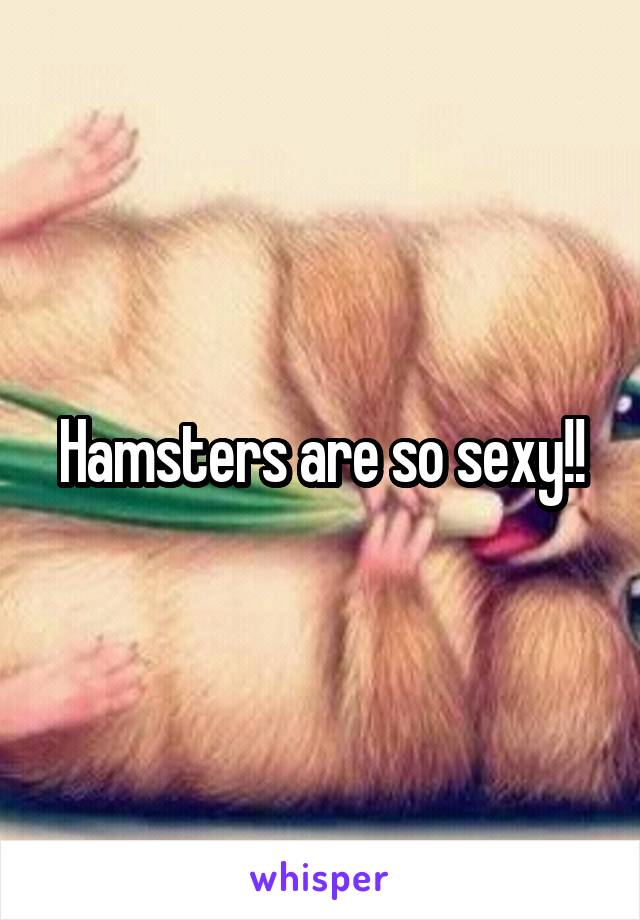 Hamsters are so sexy!!