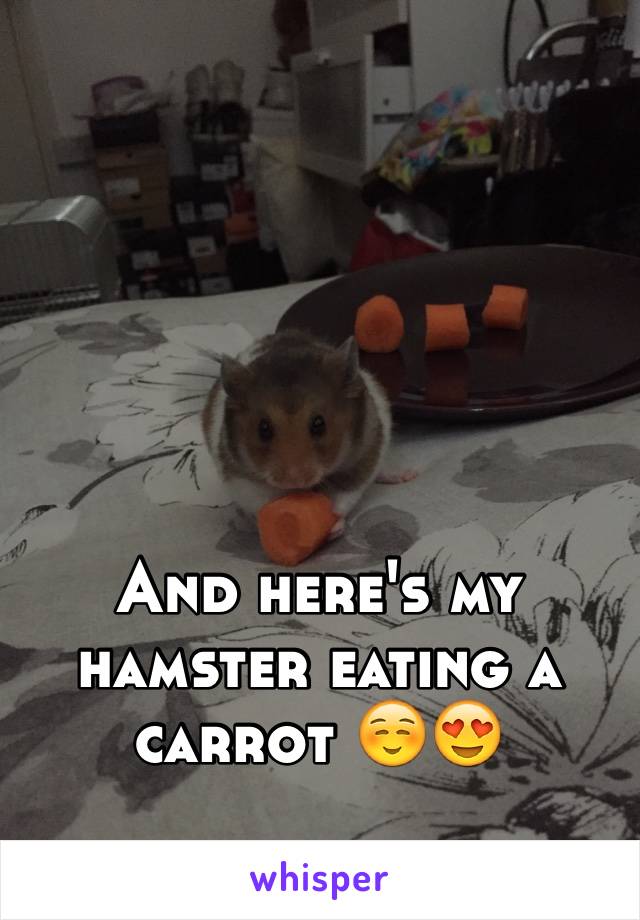 




And here's my hamster eating a carrot ☺️😍