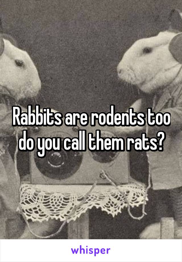 Rabbits are rodents too do you call them rats?