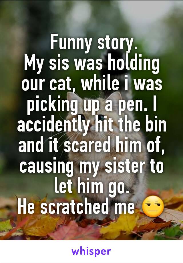  Funny story.
My sis was holding our cat, while i was picking up a pen. I accidently hit the bin and it scared him of, causing my sister to let him go.
He scratched me 😒