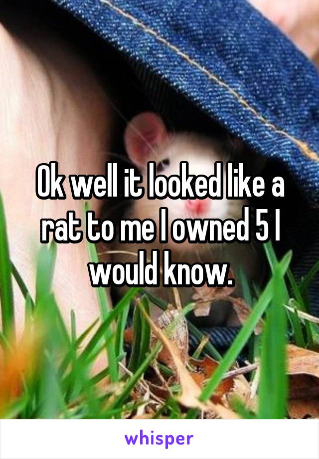 Ok well it looked like a rat to me I owned 5 I would know.