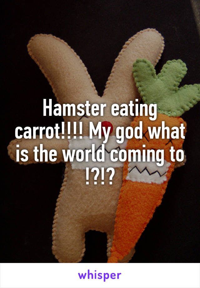 Hamster eating carrot!!!! My god what is the world coming to !?!?