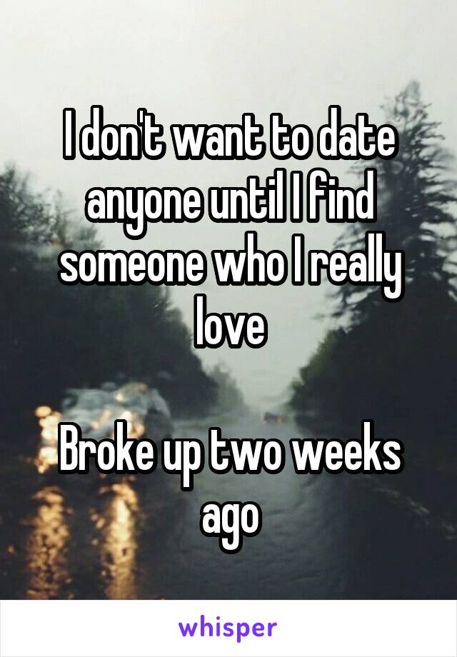 I don't want to date anyone until I find someone who I really love

Broke up two weeks ago