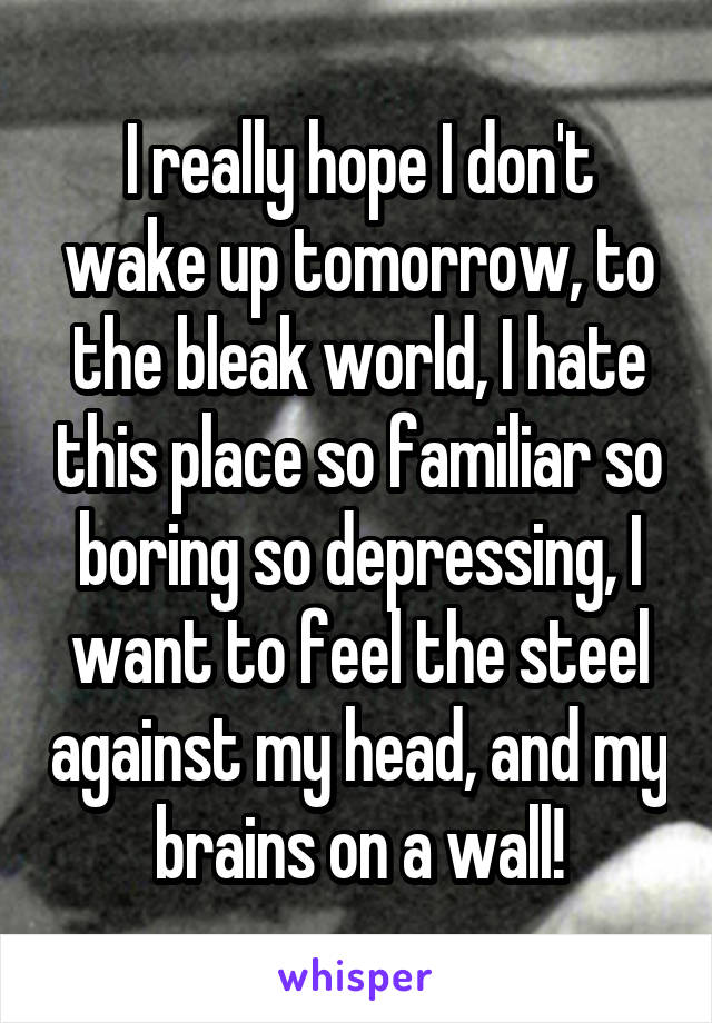 I really hope I don't wake up tomorrow, to the bleak world, I hate this place so familiar so boring so depressing, I want to feel the steel against my head, and my brains on a wall!