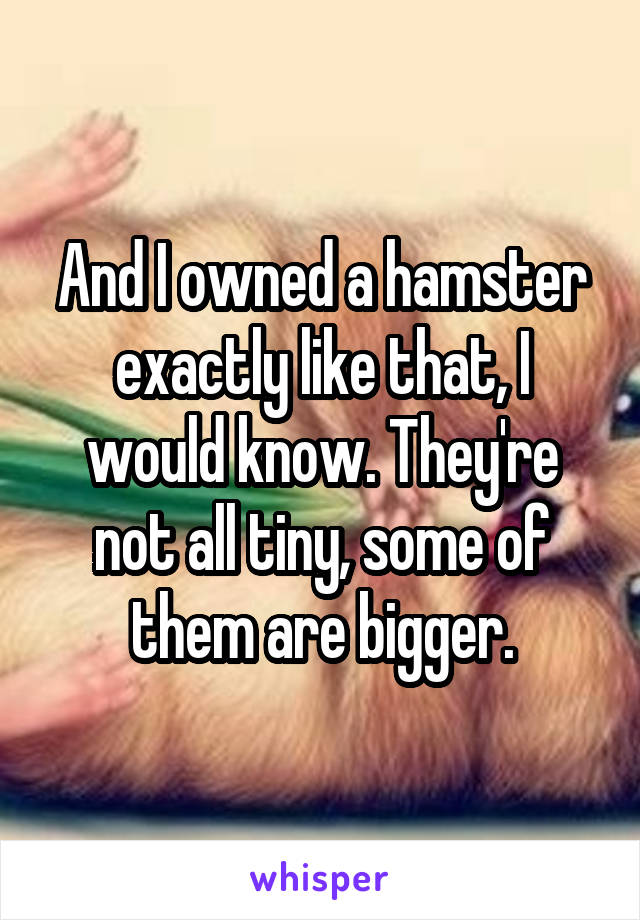 And I owned a hamster exactly like that, I would know. They're not all tiny, some of them are bigger.