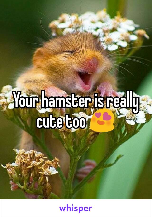 Your hamster is really cute too 😍