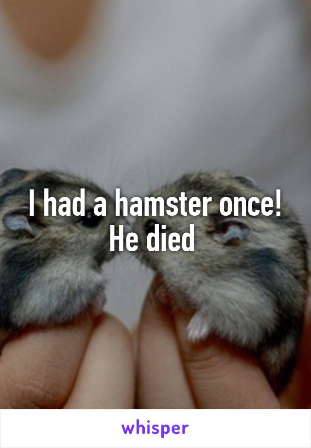 I had a hamster once! He died 