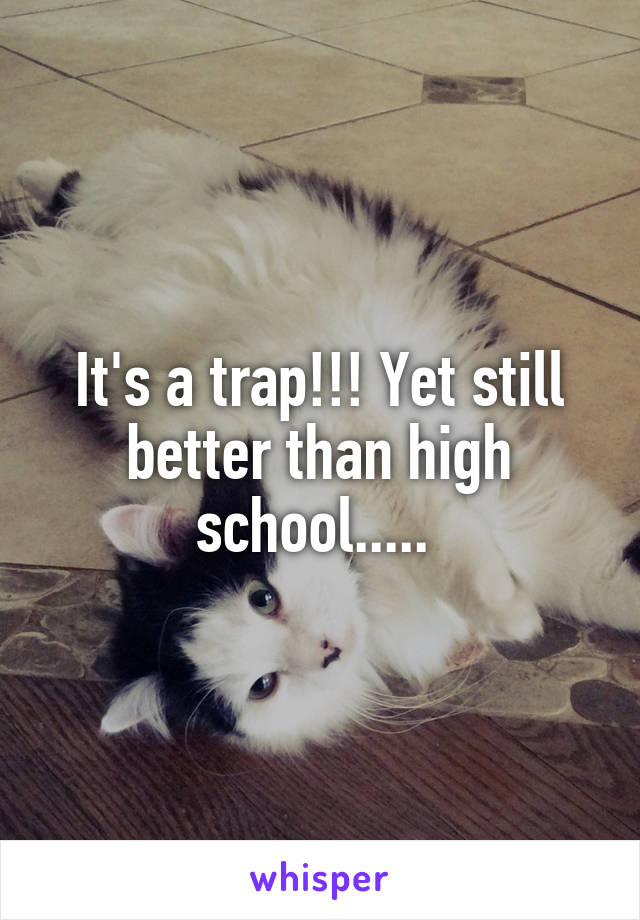 It's a trap!!! Yet still better than high school..... 