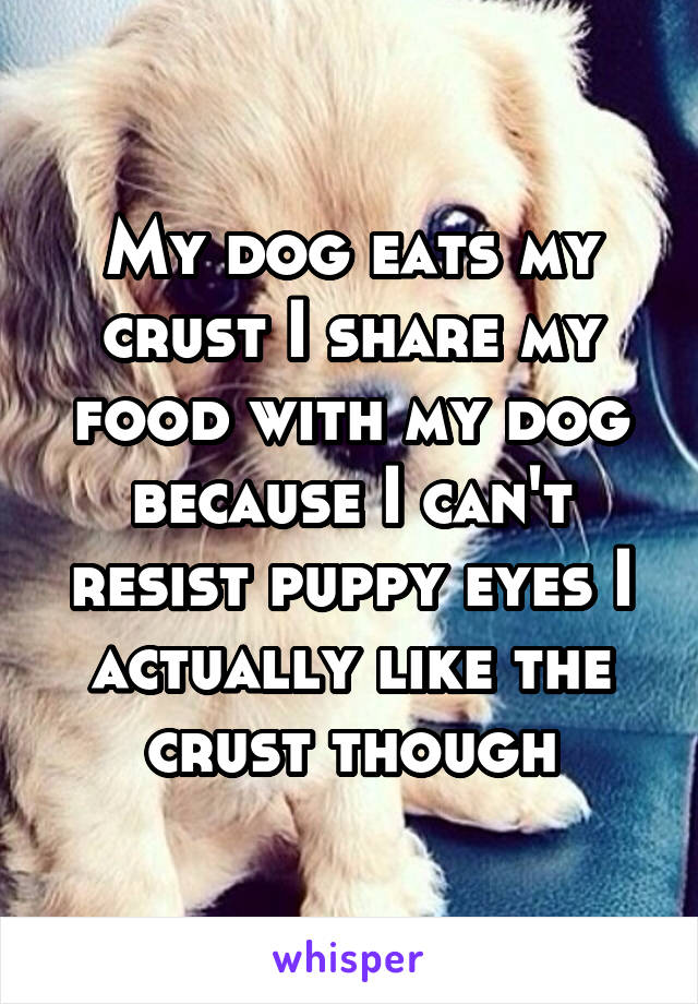 My dog eats my crust I share my food with my dog because I can't resist puppy eyes I actually like the crust though