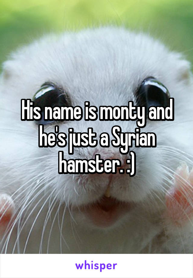 His name is monty and he's just a Syrian hamster. :)