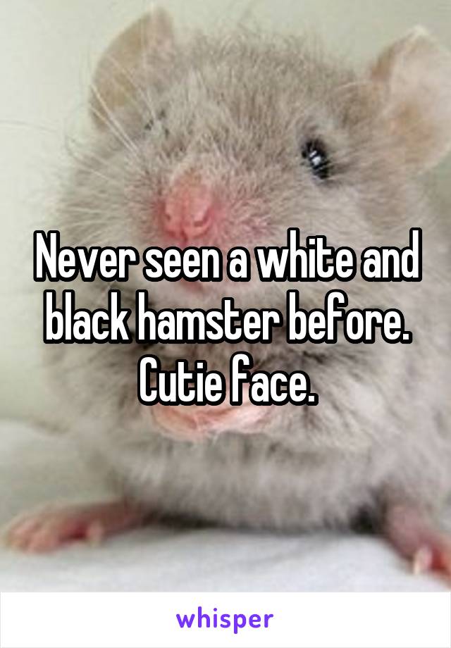 Never seen a white and black hamster before. Cutie face.