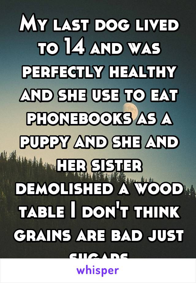 My last dog lived to 14 and was perfectly healthy and she use to eat phonebooks as a puppy and she and her sister demolished a wood table I don't think grains are bad just sugars