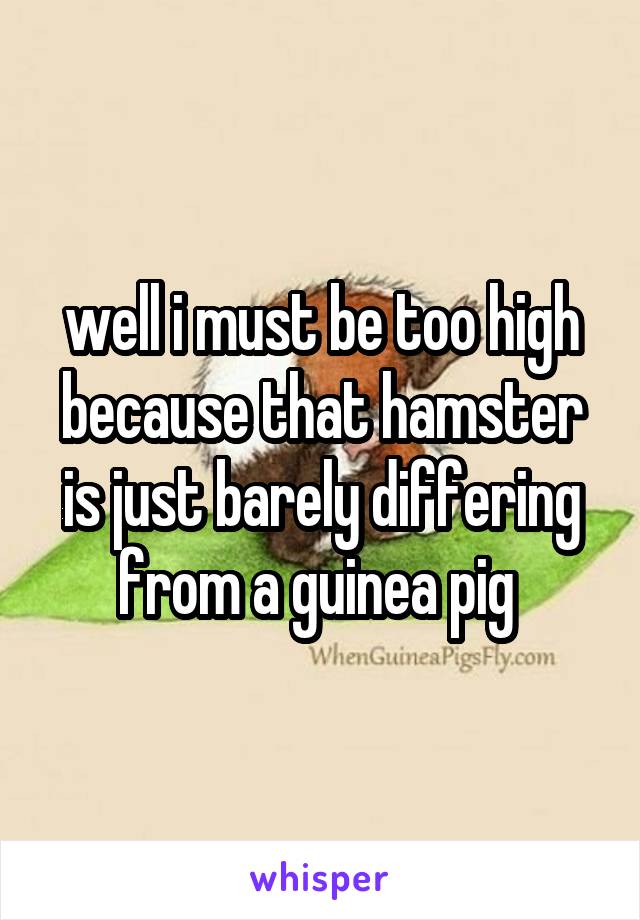 well i must be too high because that hamster is just barely differing from a guinea pig 