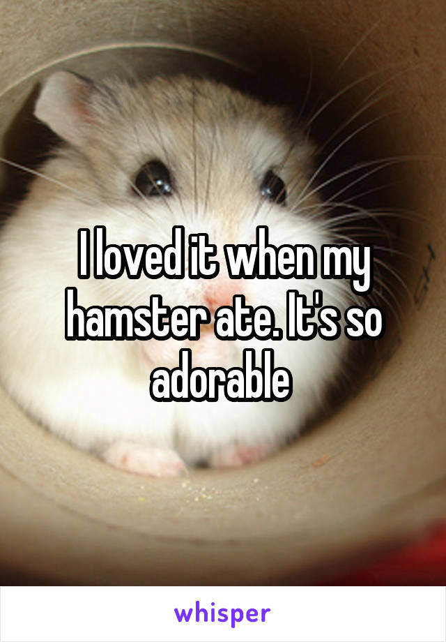 I loved it when my hamster ate. It's so adorable 