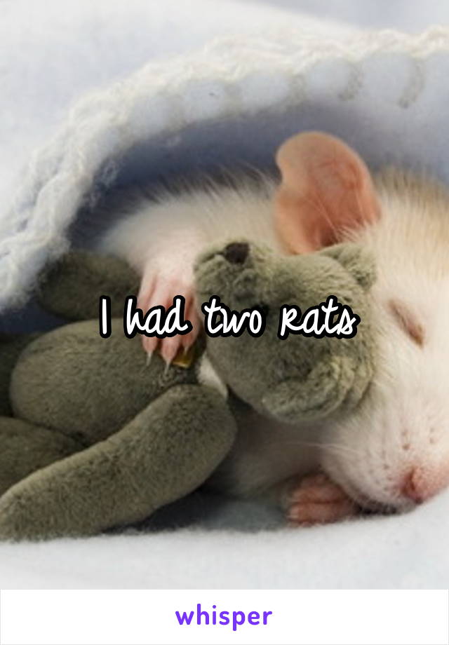 I had two rats