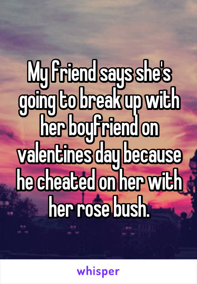 My friend says she's going to break up with her boyfriend on valentines day because he cheated on her with her rose bush.