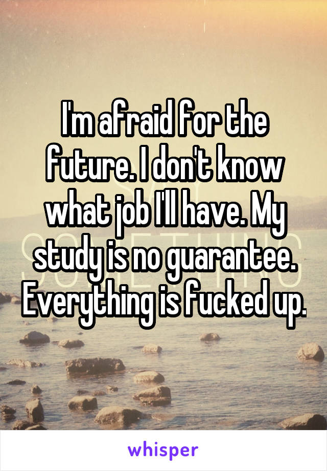 I'm afraid for the future. I don't know what job I'll have. My study is no guarantee. Everything is fucked up. 