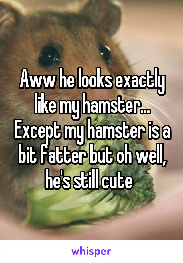 Aww he looks exactly like my hamster... Except my hamster is a bit fatter but oh well, he's still cute  