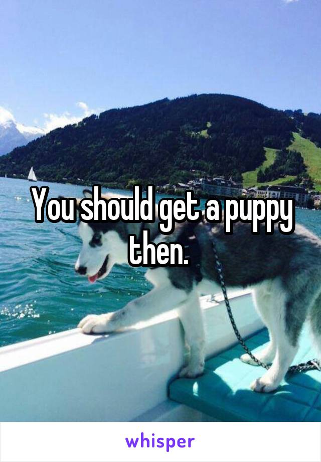 You should get a puppy then. 