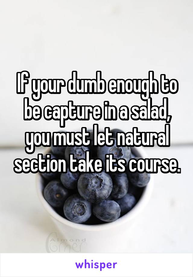 If your dumb enough to be capture in a salad, you must let natural section take its course.  