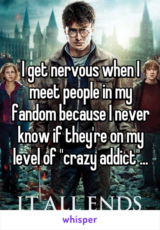 I get nervous when I meet people in my fandom because I never know if they're on my level of "crazy addict"...