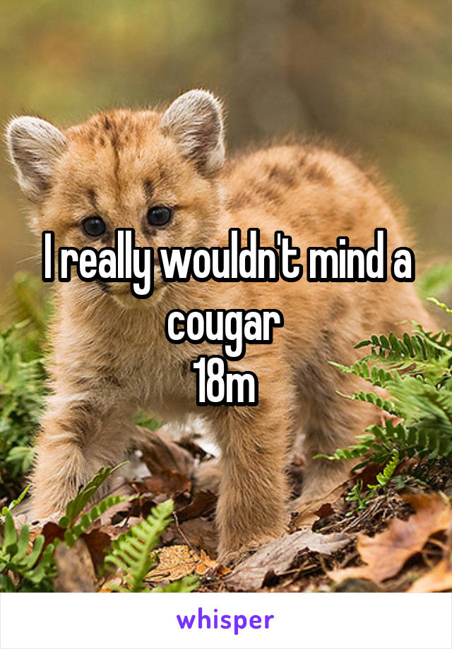 I really wouldn't mind a cougar 
18m 