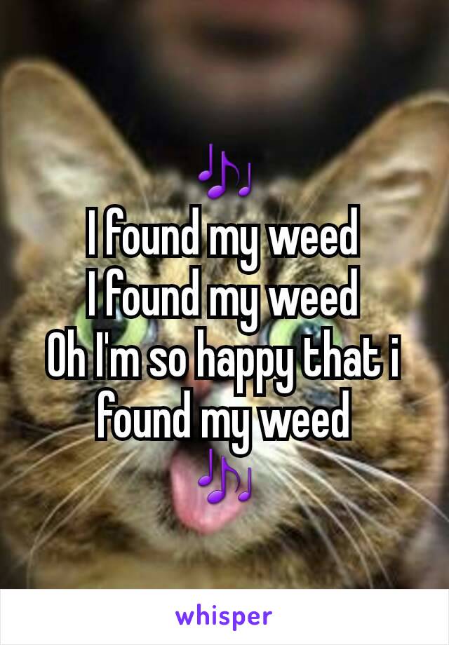 🎶
I found my weed
I found my weed
Oh I'm so happy that i found my weed
🎶