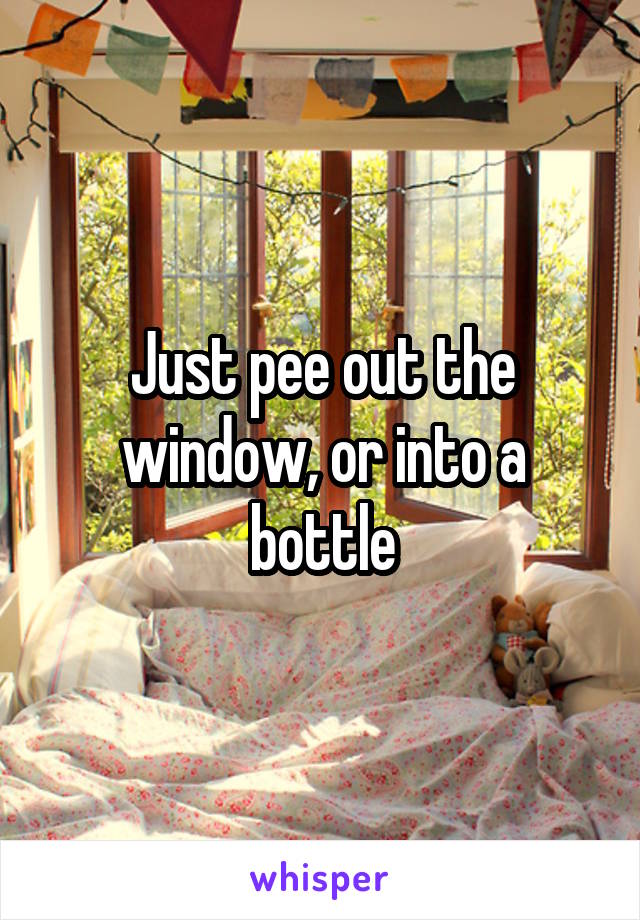 Just pee out the window, or into a bottle