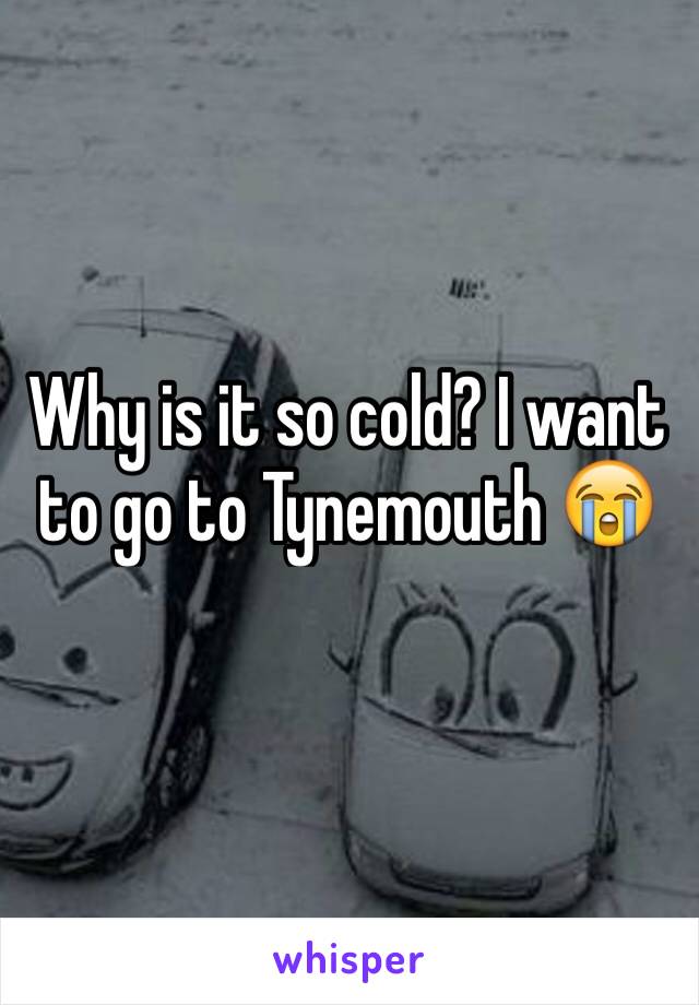 Why is it so cold? I want to go to Tynemouth 😭