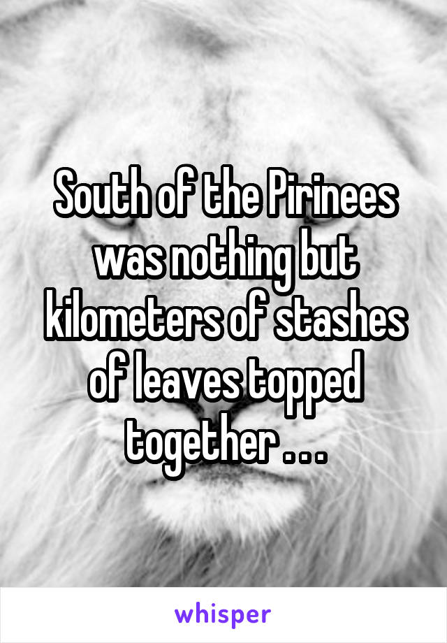 South of the Pirinees was nothing but kilometers of stashes of leaves topped together . . .