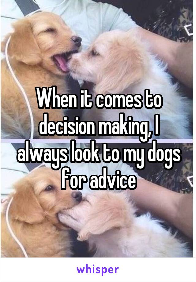 When it comes to decision making, I always look to my dogs for advice