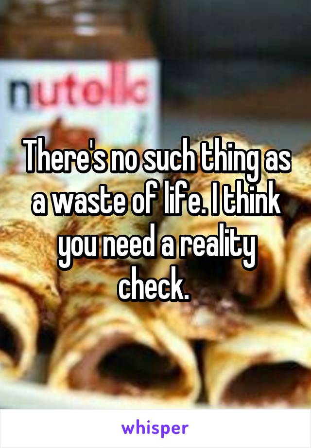 There's no such thing as a waste of life. I think you need a reality check. 