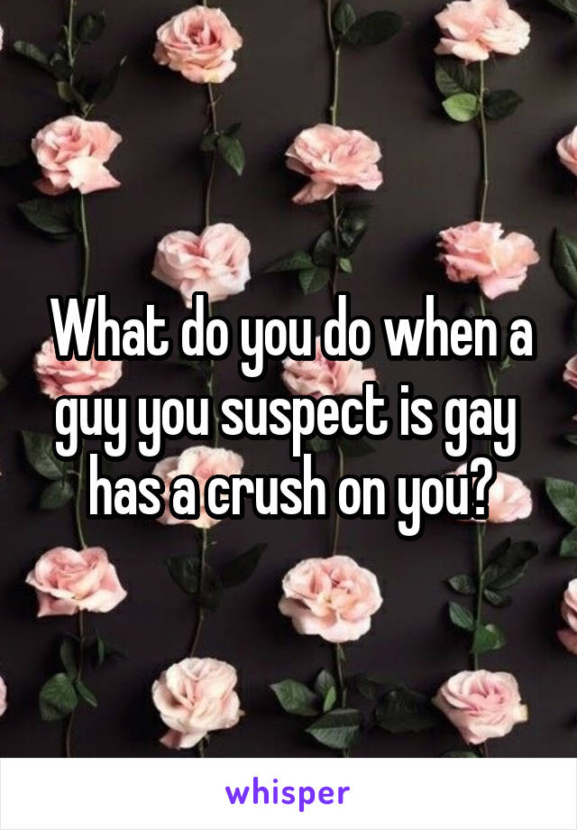 What do you do when a guy you suspect is gay  has a crush on you?